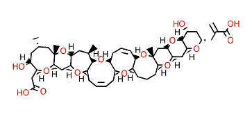 open A-ring oxidized Brevetoxin 1